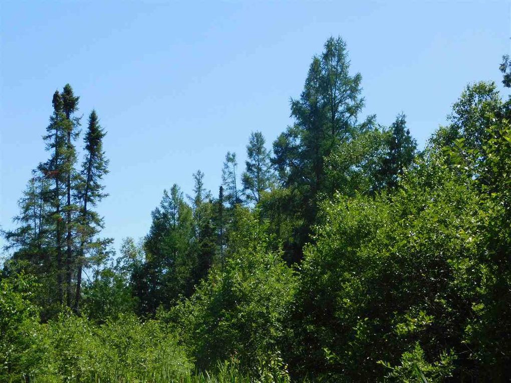 40 ac, Park Ave Mattoon WI 54450