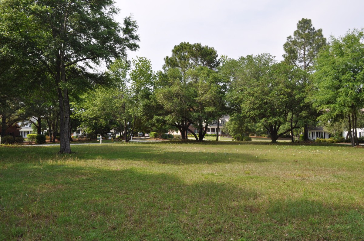 Homes for sale in Porter's Neck Plantation