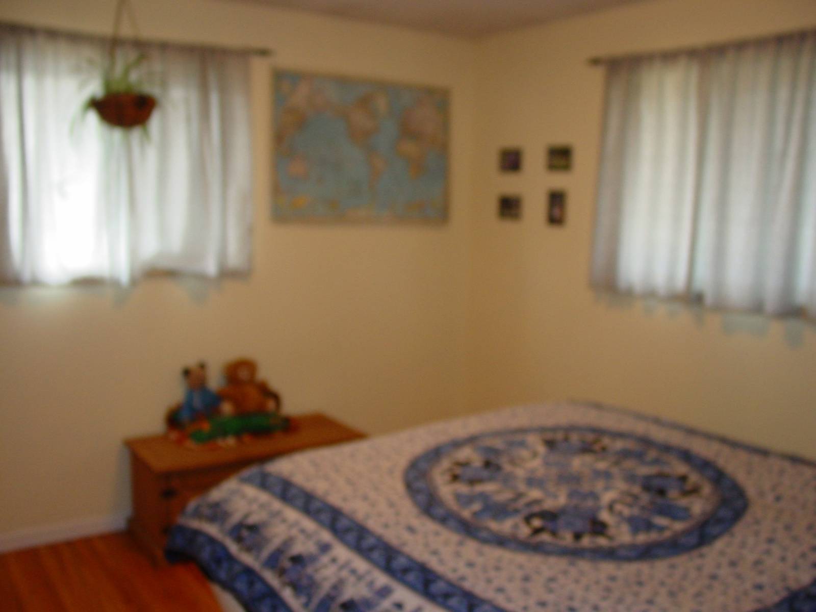 DSC00785.JPG