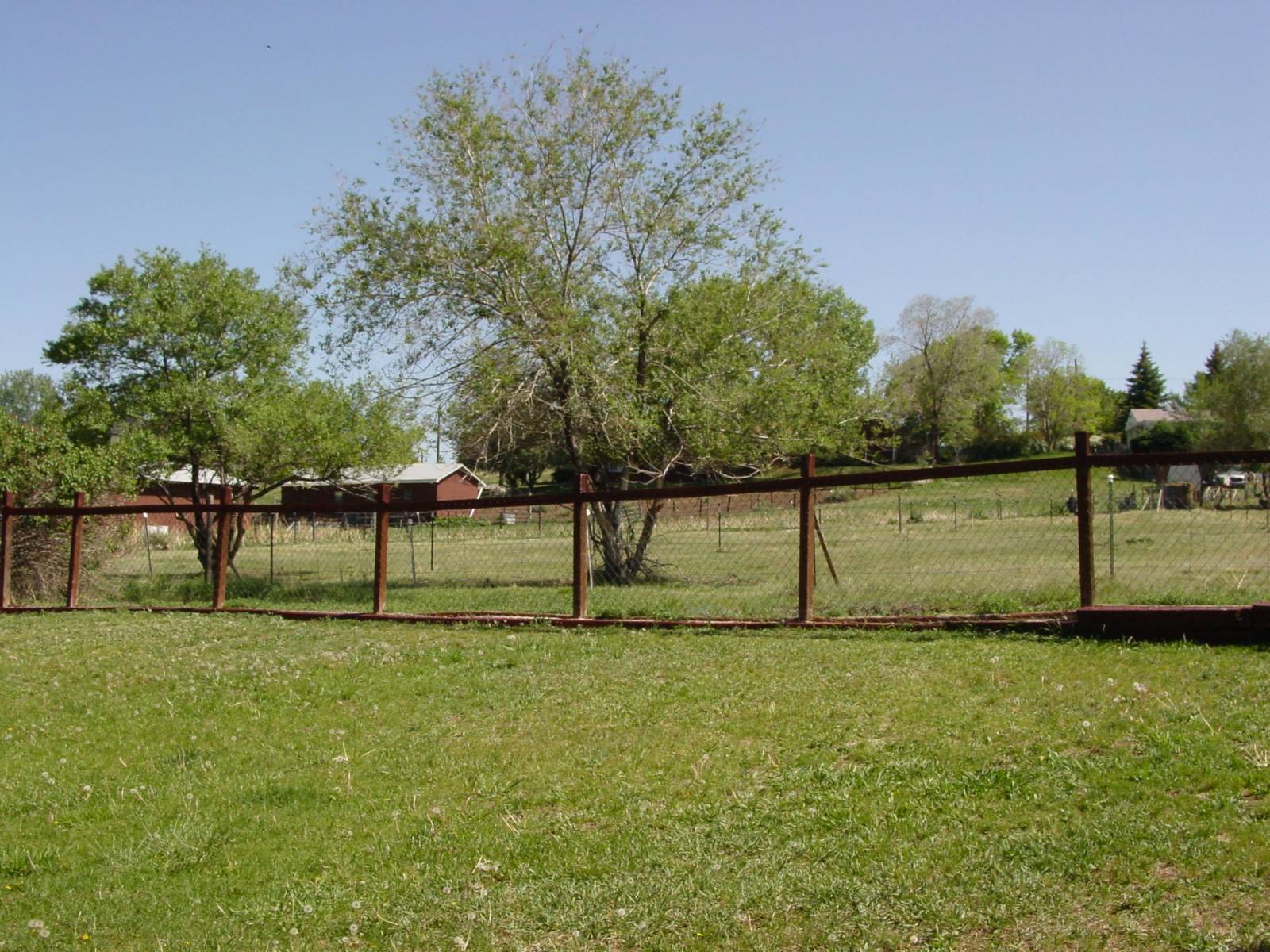 DSC00137.JPG