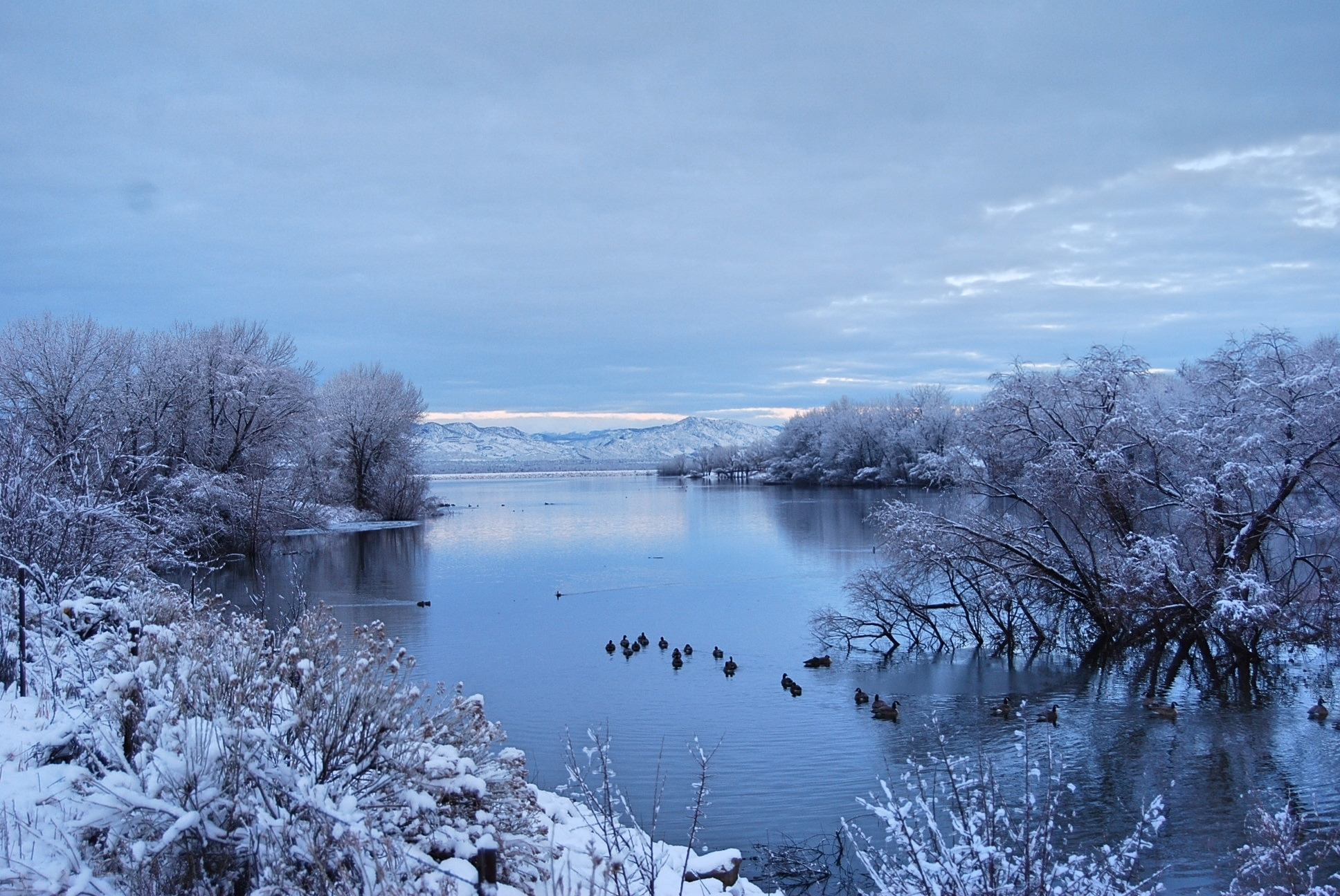 Winter on McLelland Reservoir