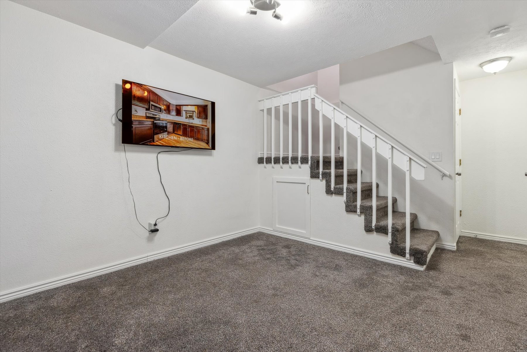 Basement TV and mount included