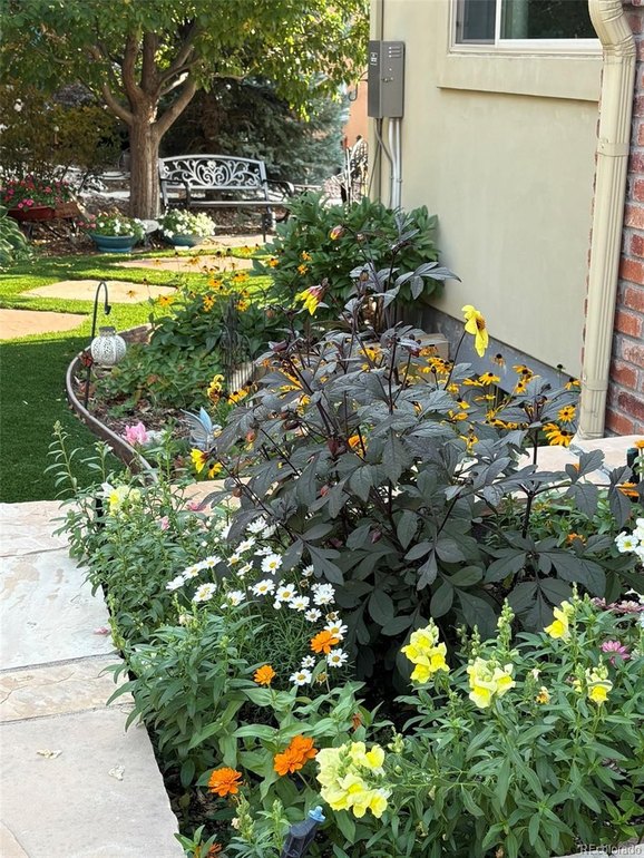 HOA takes care of leaf blowing, sprinkler blow out, lawn mowing and snow shoveling to your doorstep