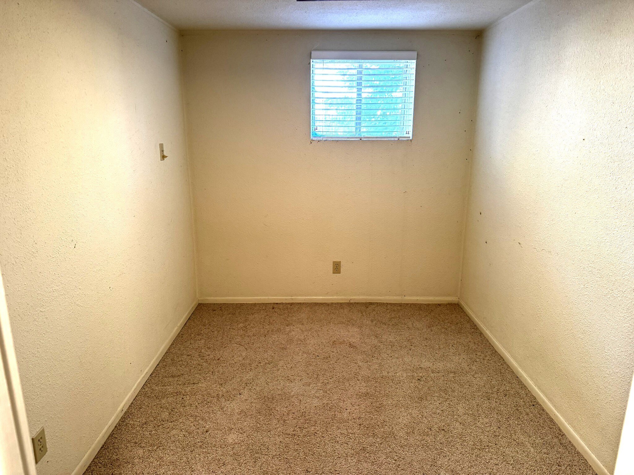 Bonus Room in Basement