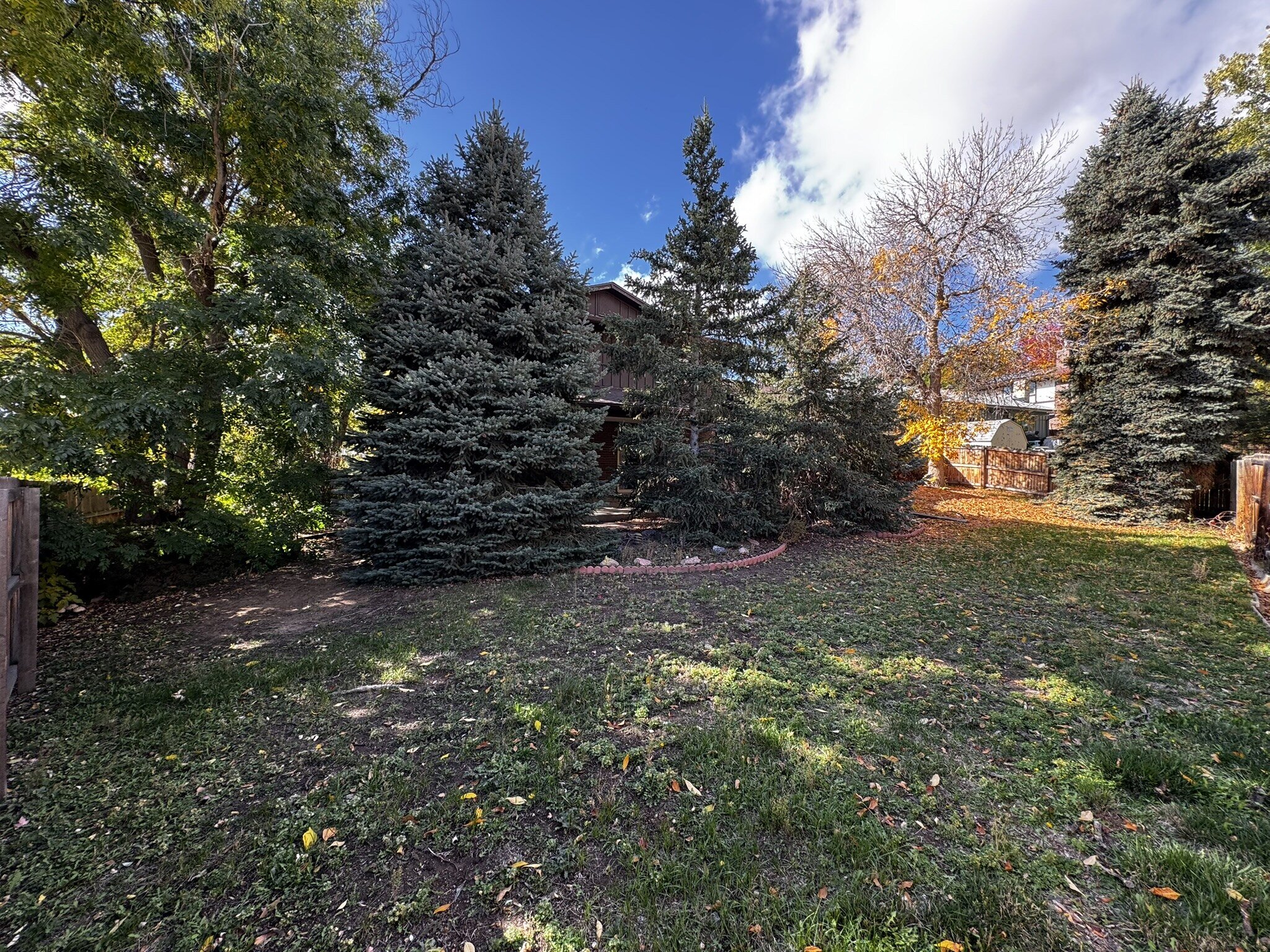 Large Back Yard