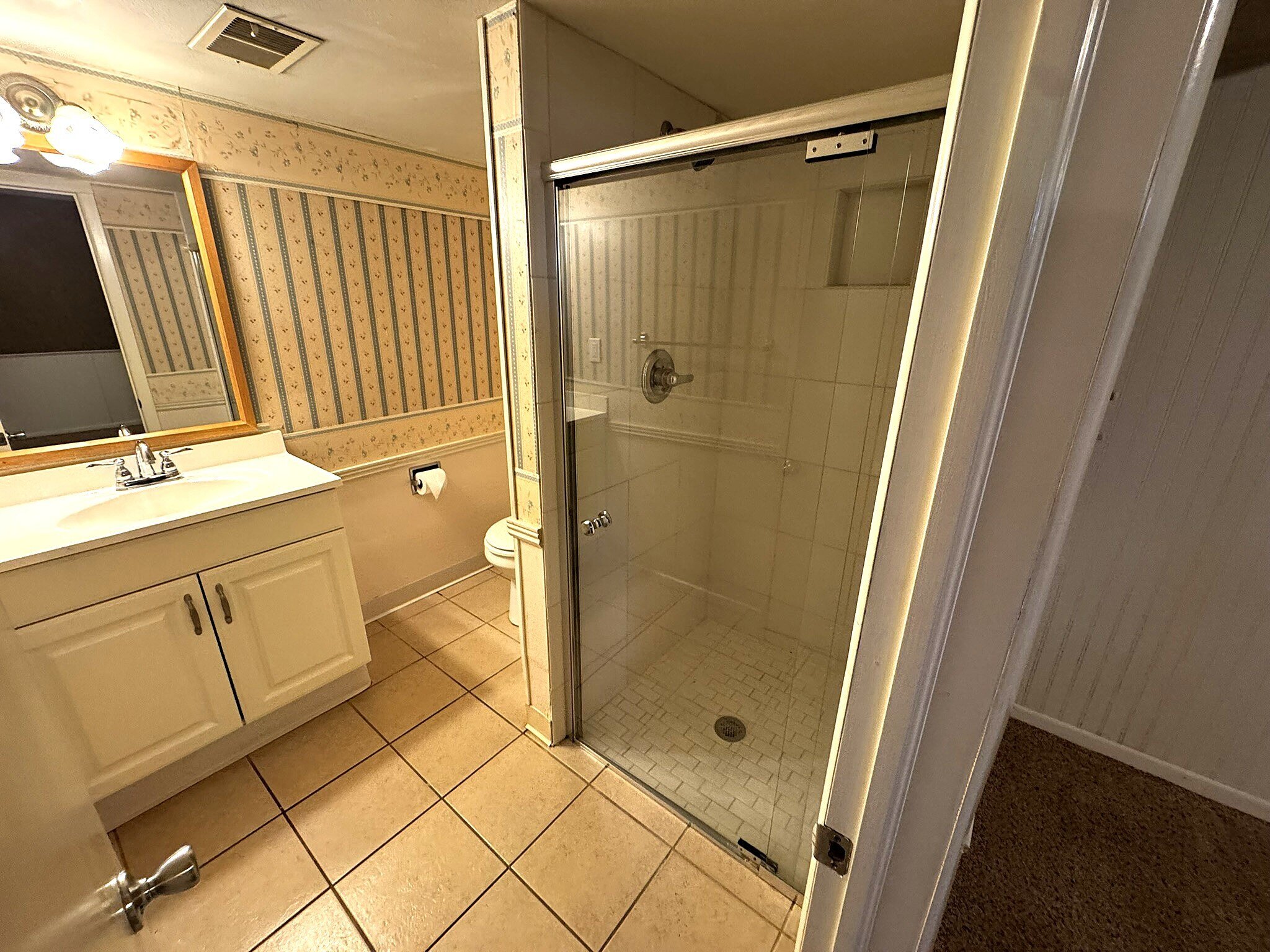 Basement 3/4 Bathroom