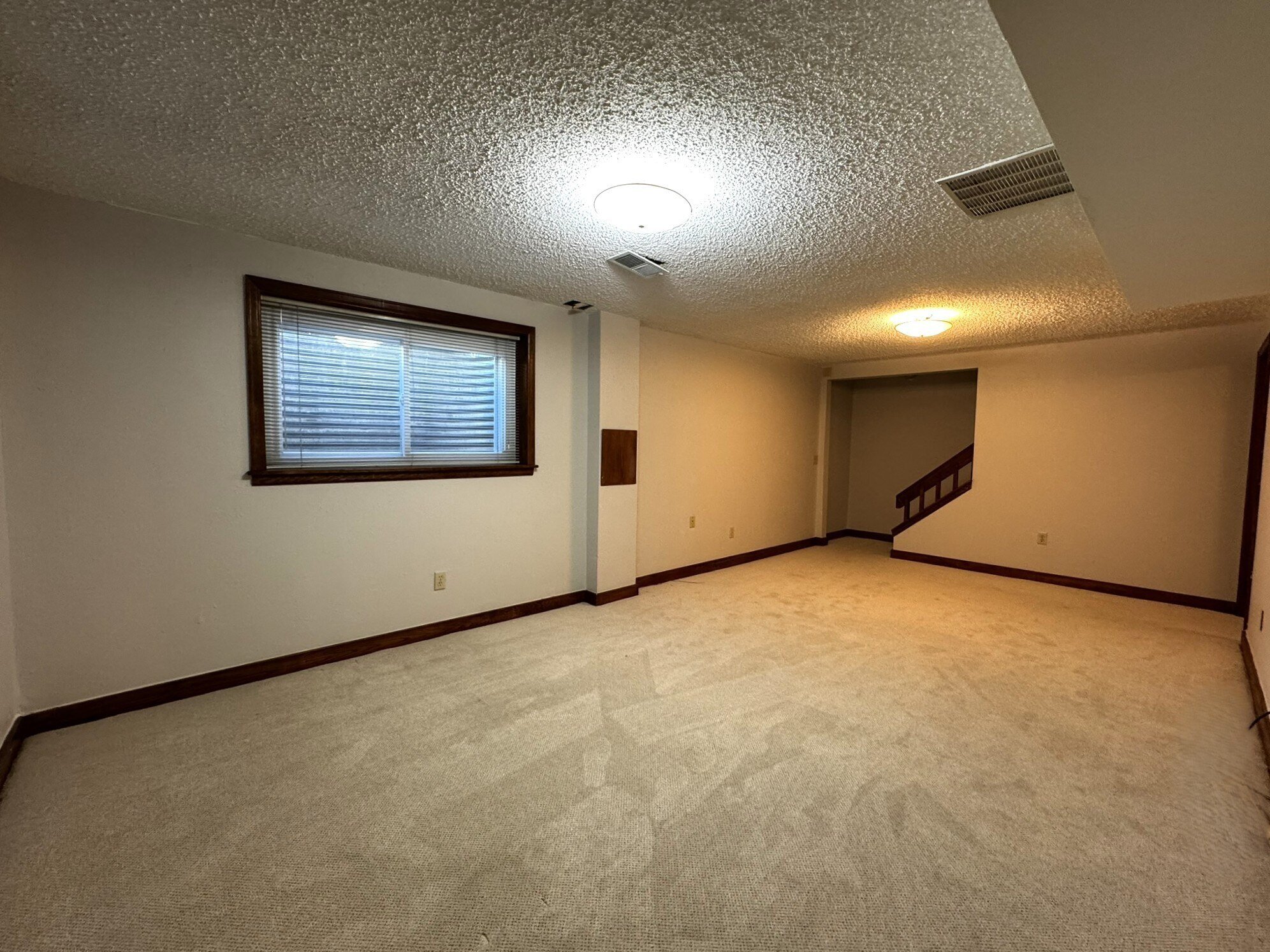 Huge Basement Family Room