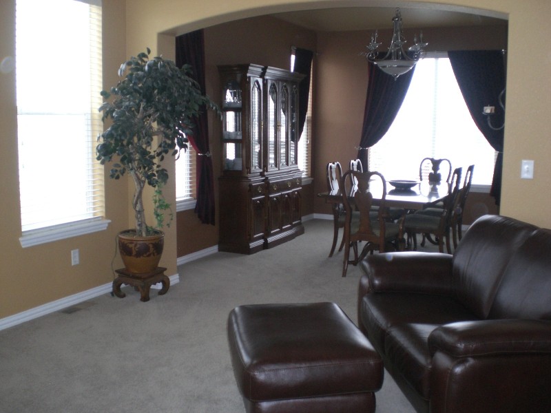 Vaulted Ceilings in entry and Living room
