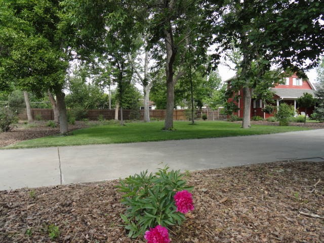 Plentyr of trees, grass and flowers enhance the beauty of this home!