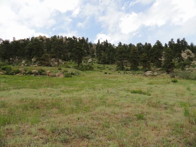 One of the best lots in Douglas Mountain Estates now available!