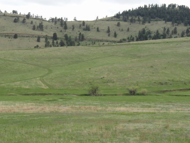 This picture is the view across the road!
