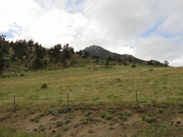 Property is fully fenced and has gate access!