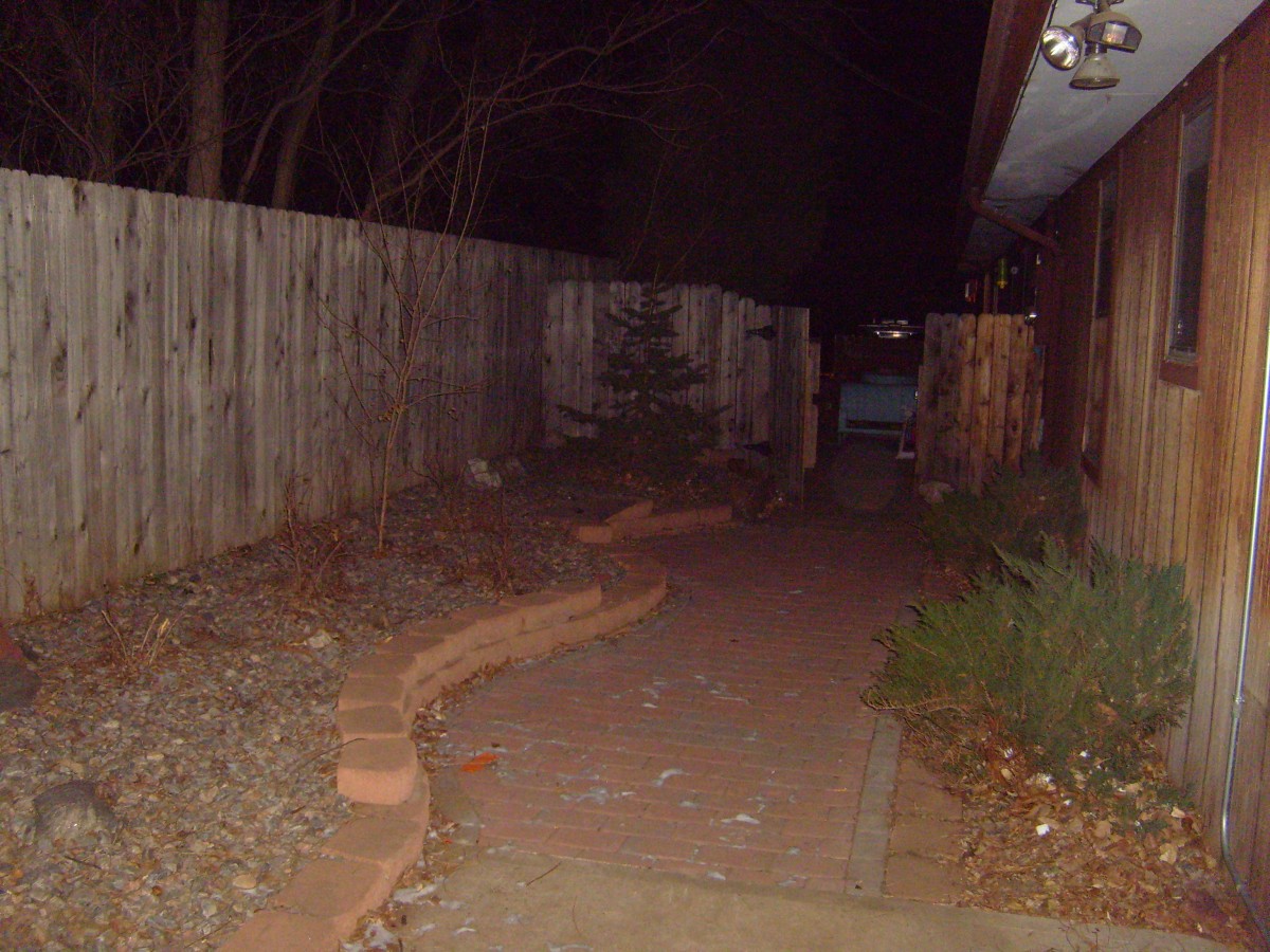3185 Back yard patio!
