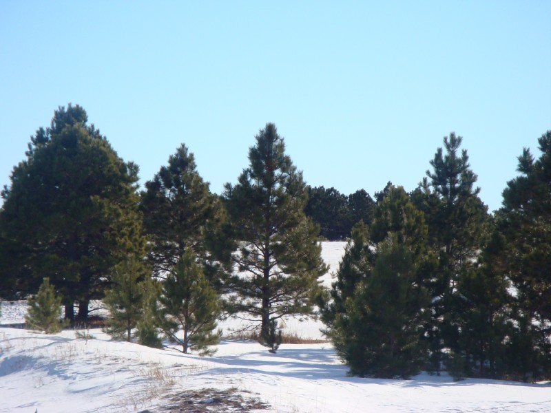View from the Deck
