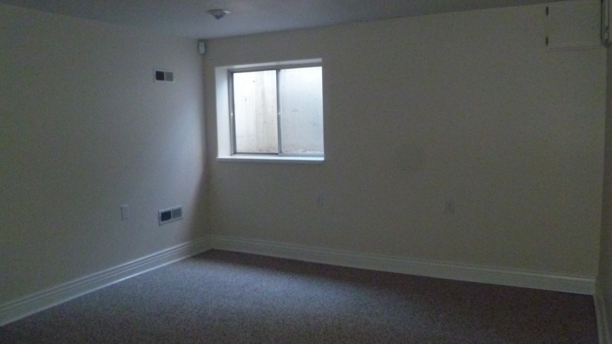 Basement Office/Bedroom
