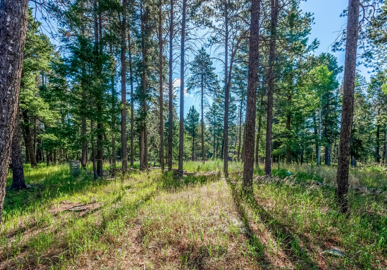 12802 Upper Ridge Road