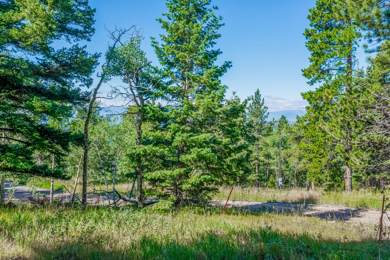 12802 Upper Ridge Road