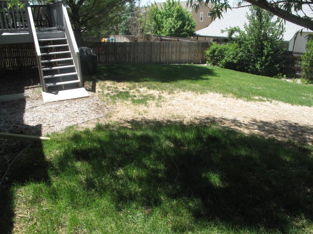 17-backyard