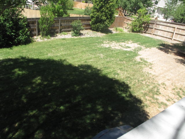 22-backyard