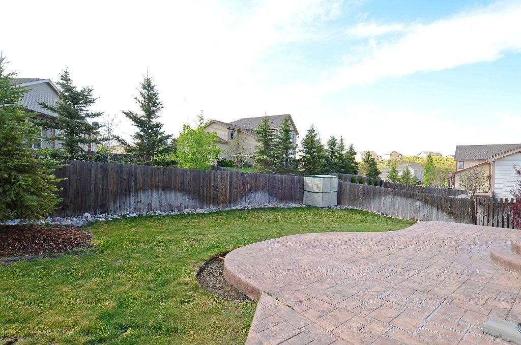 Backyard 2.jpg