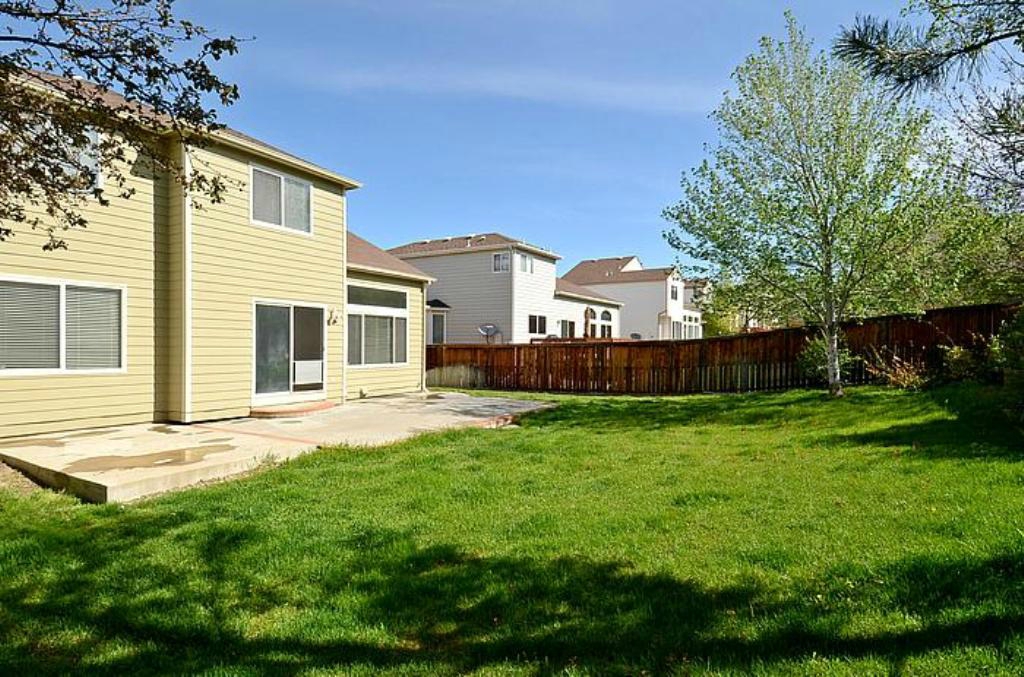 Back Yard 3.jpg