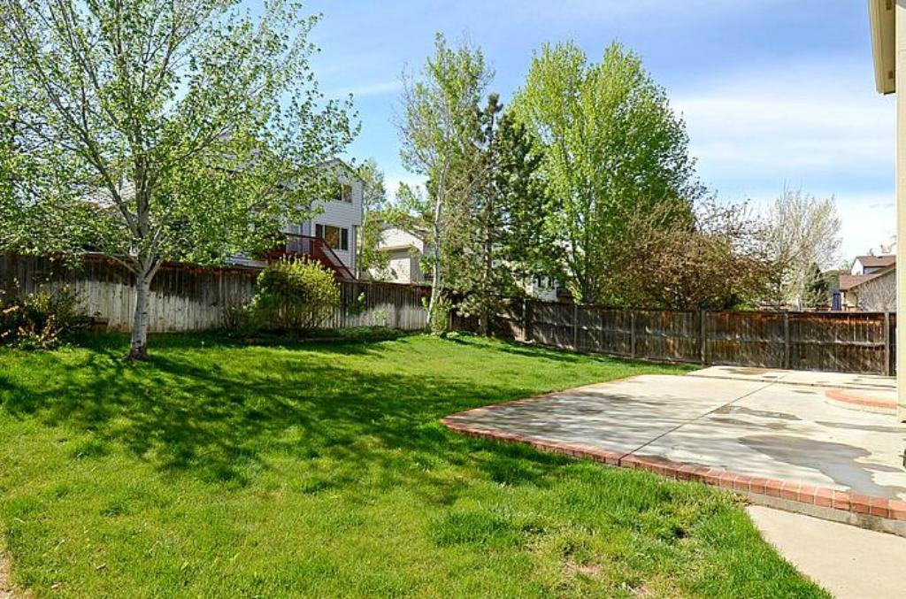 Back Yard.jpg