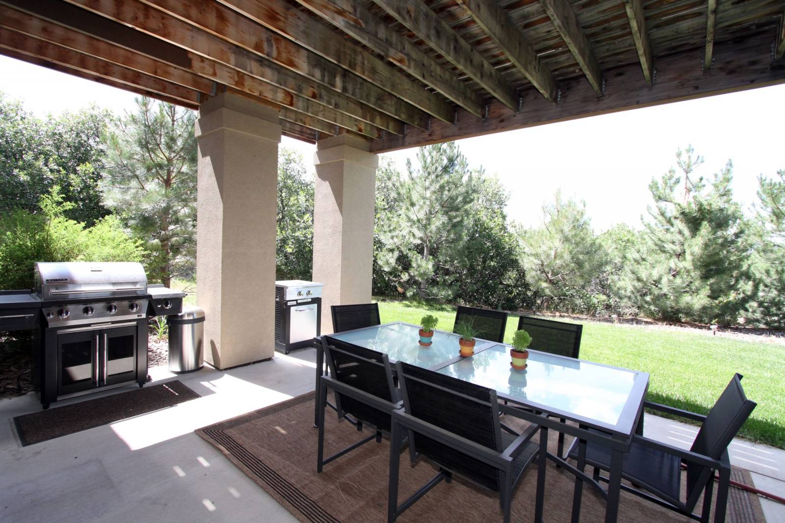 Back Patio