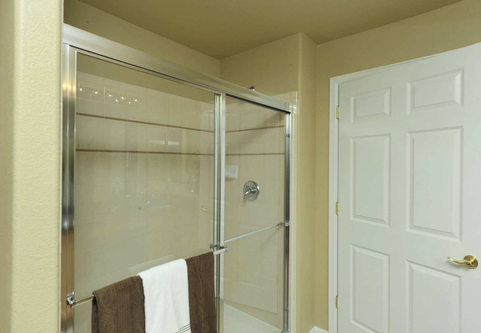 Master Bathroom Shower