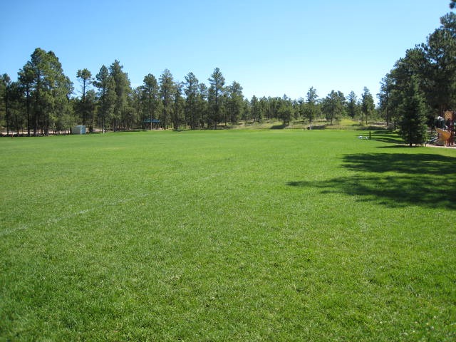 Soccer field at the park.