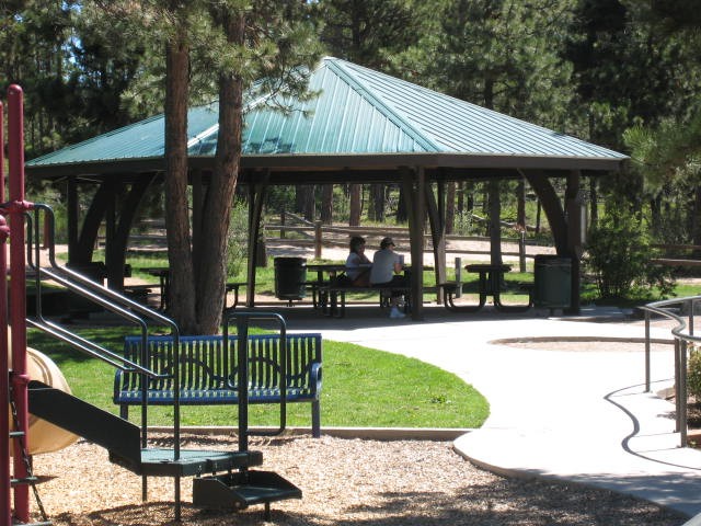 Nice shady area for a picnic.