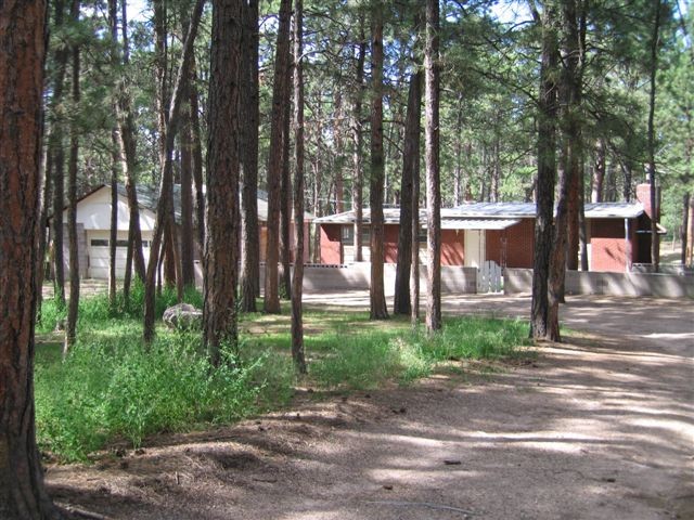 Privacy in the pines.
