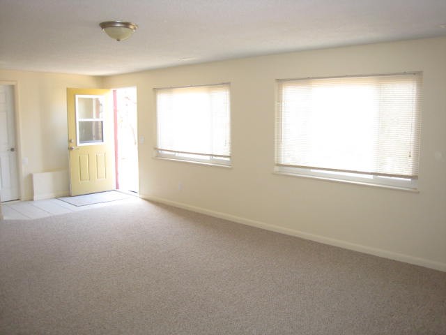 Large family room in basement.