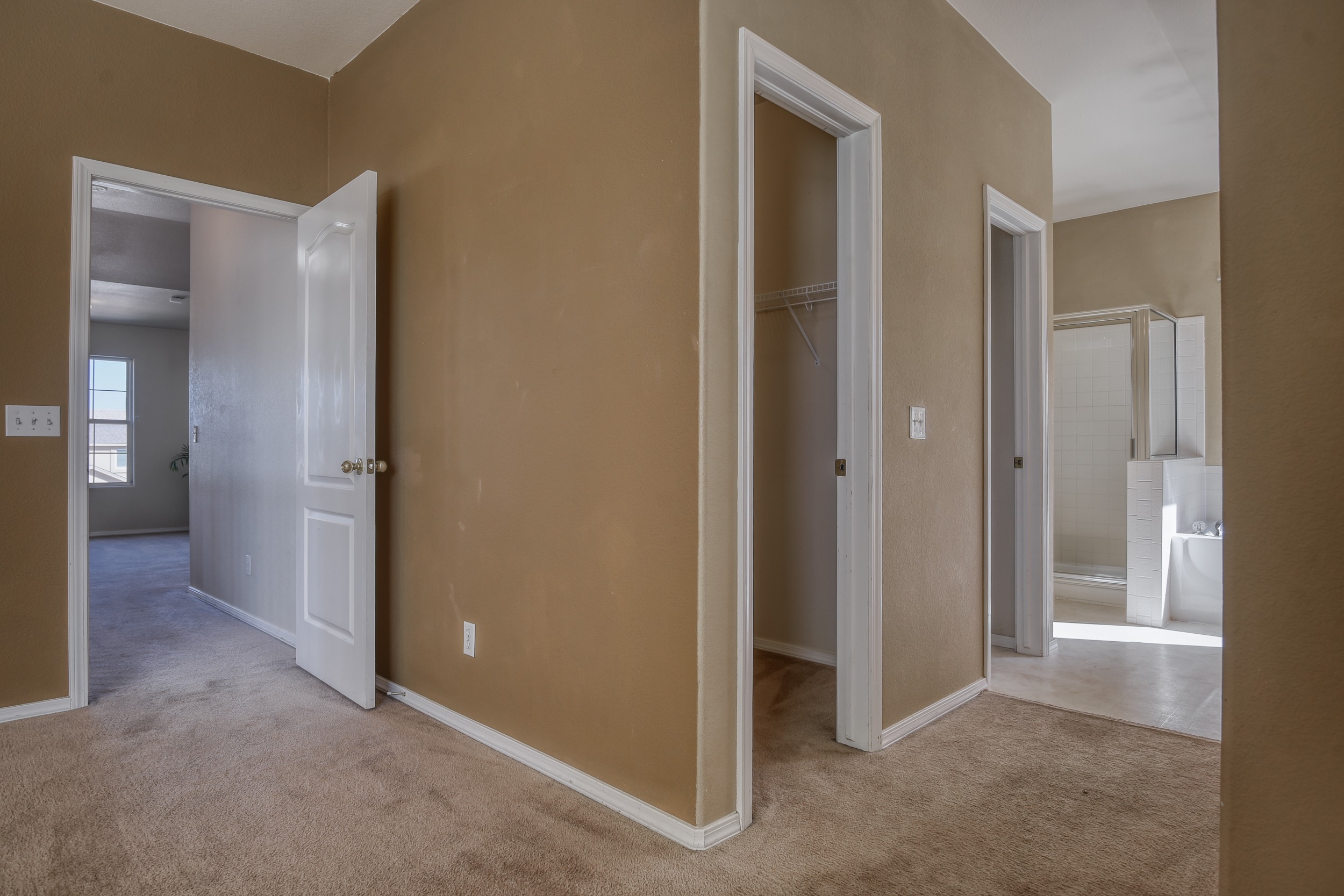 Walk-in closet to the left and traditional closet to the right.
