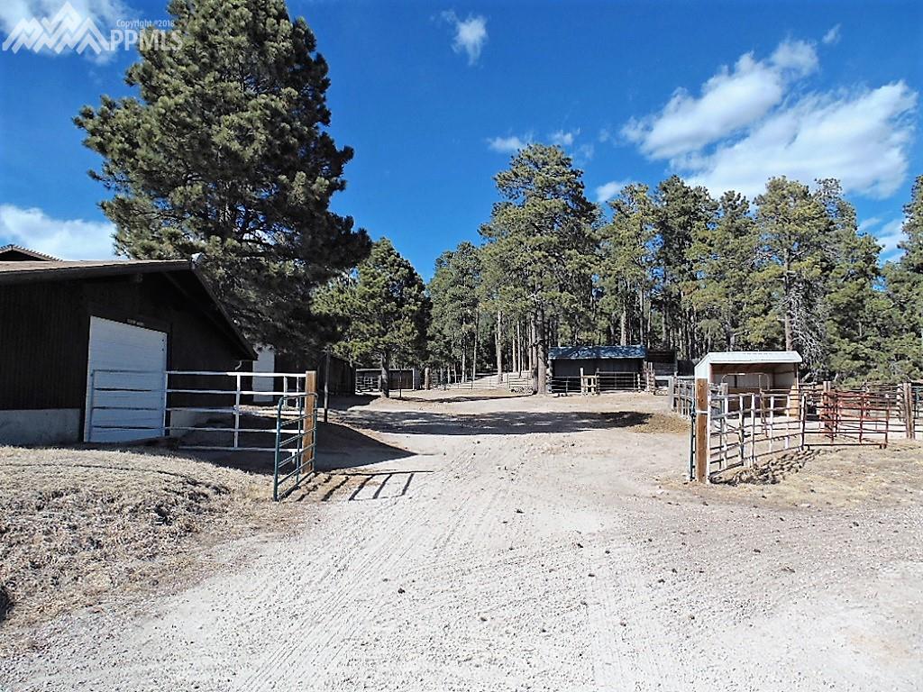 Barn ~ Loafing Sheds