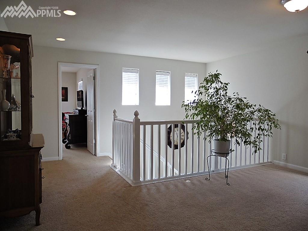 Lots of natural light!