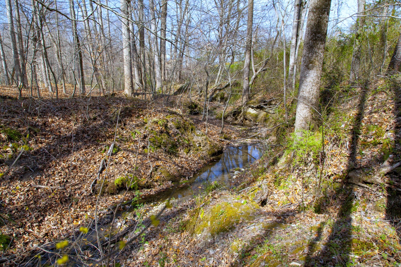 Meditation area by the winding stream