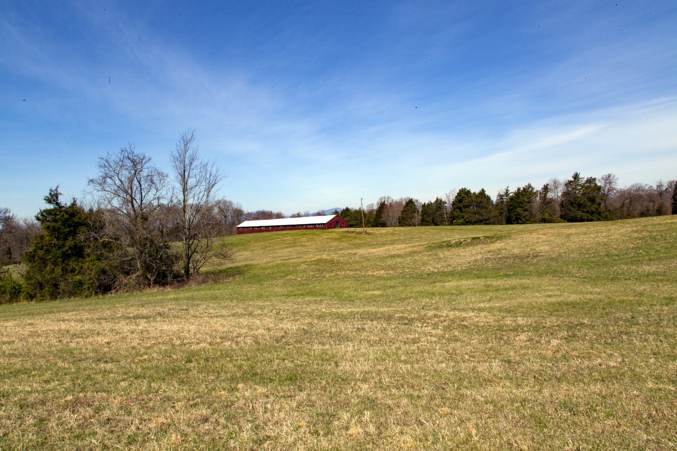 Pasture field