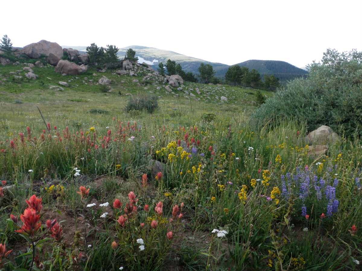 Nearby Hiking