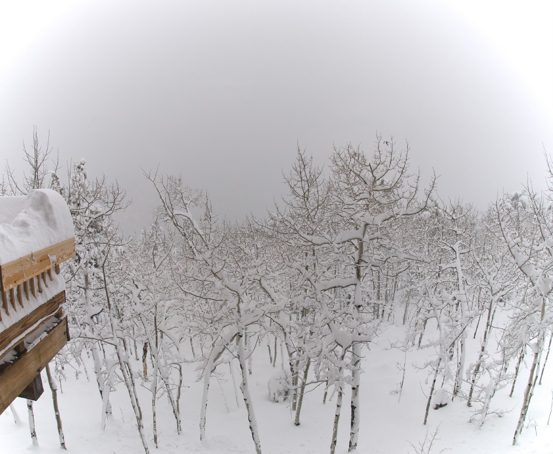 Winter View