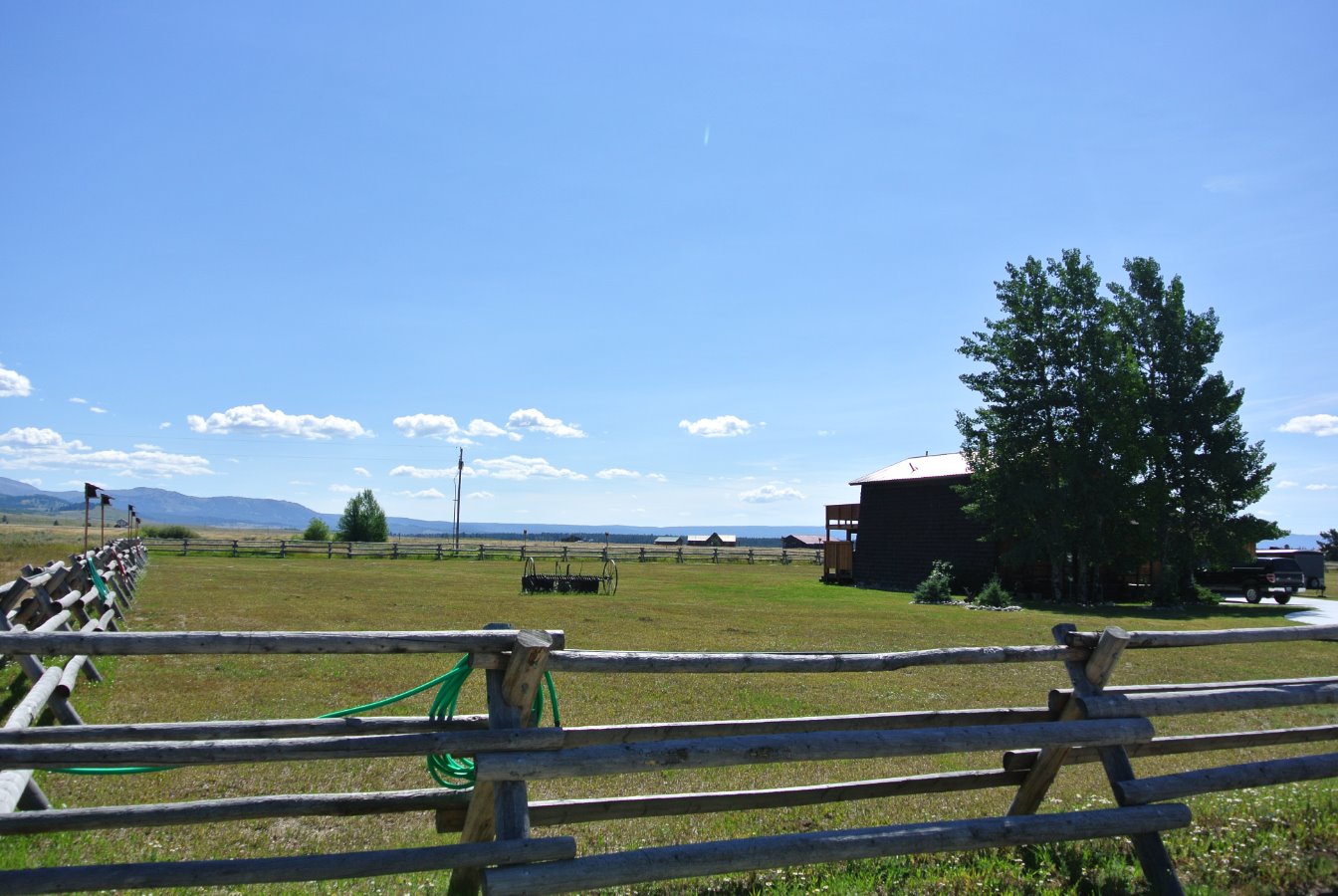 Side Yard