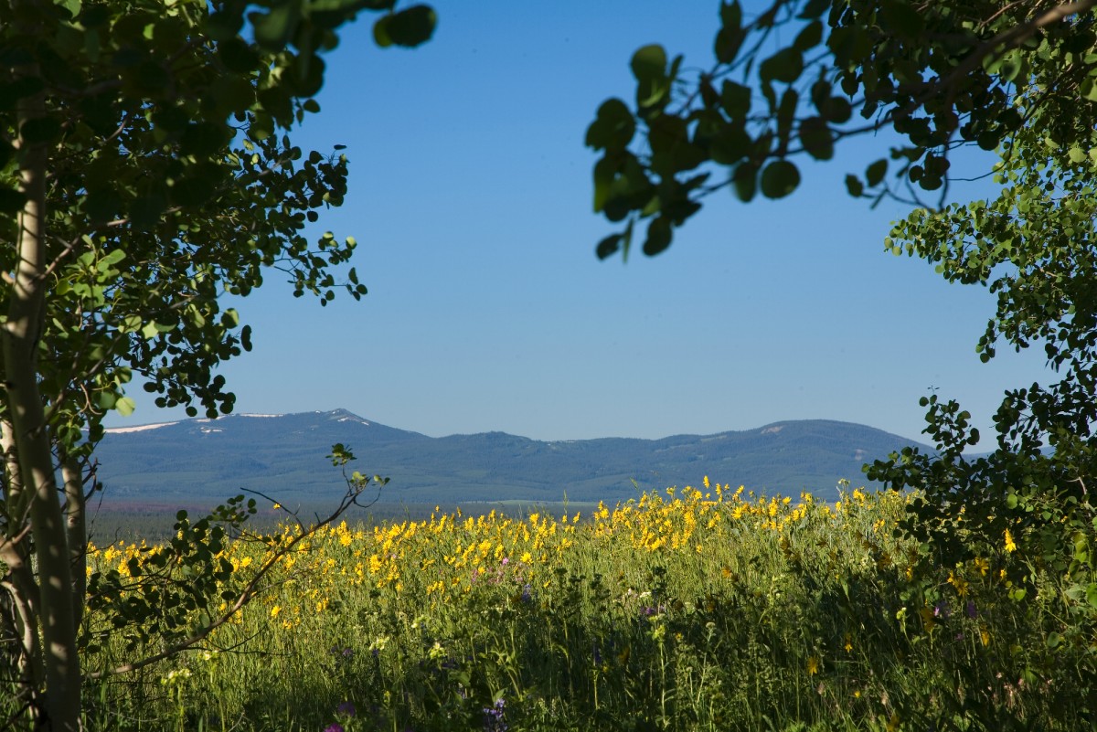Build your dream home with views from Every Window.