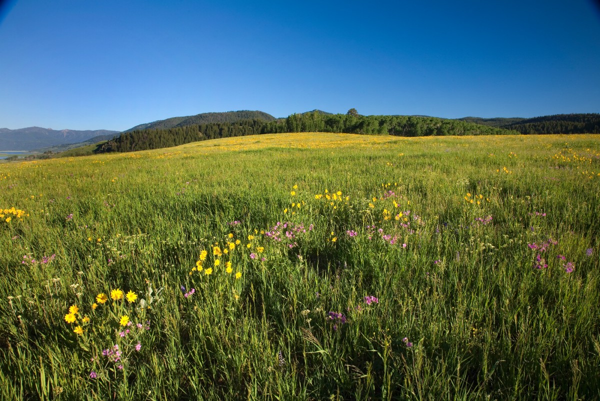 Big Sky Country