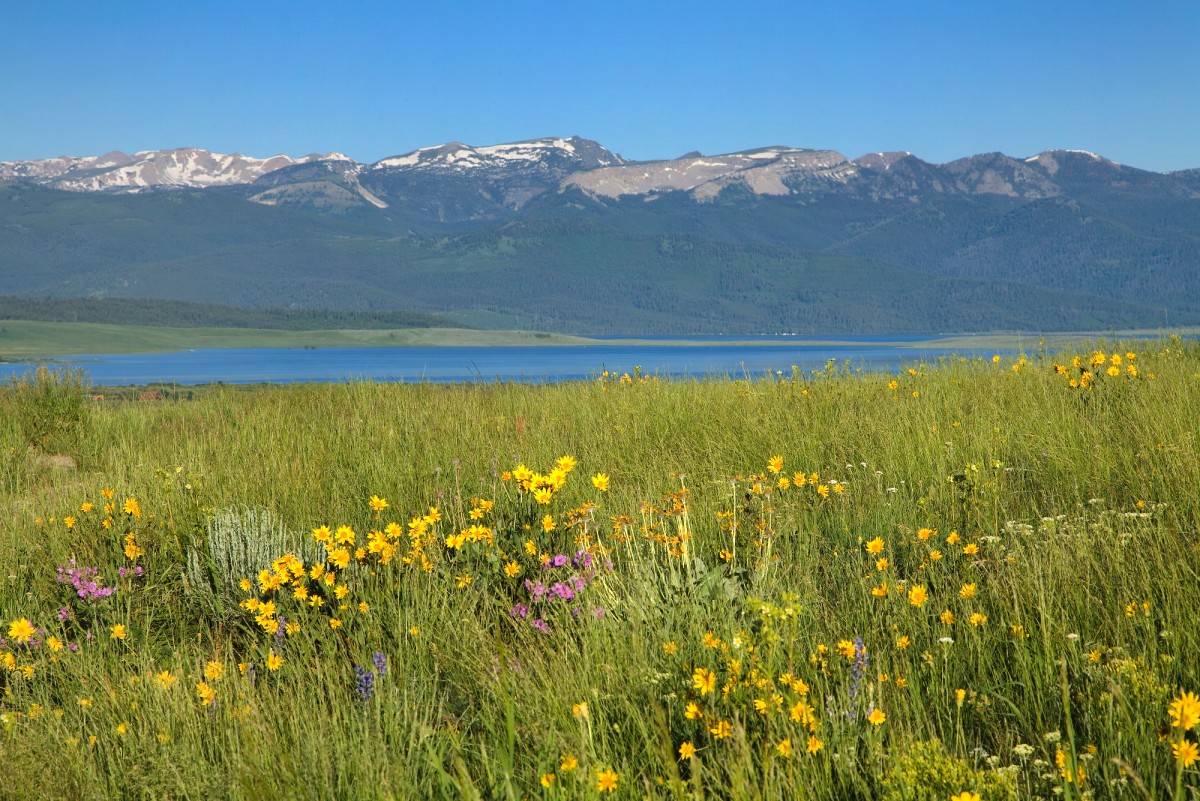 Views Hebgen Lake & Mountains