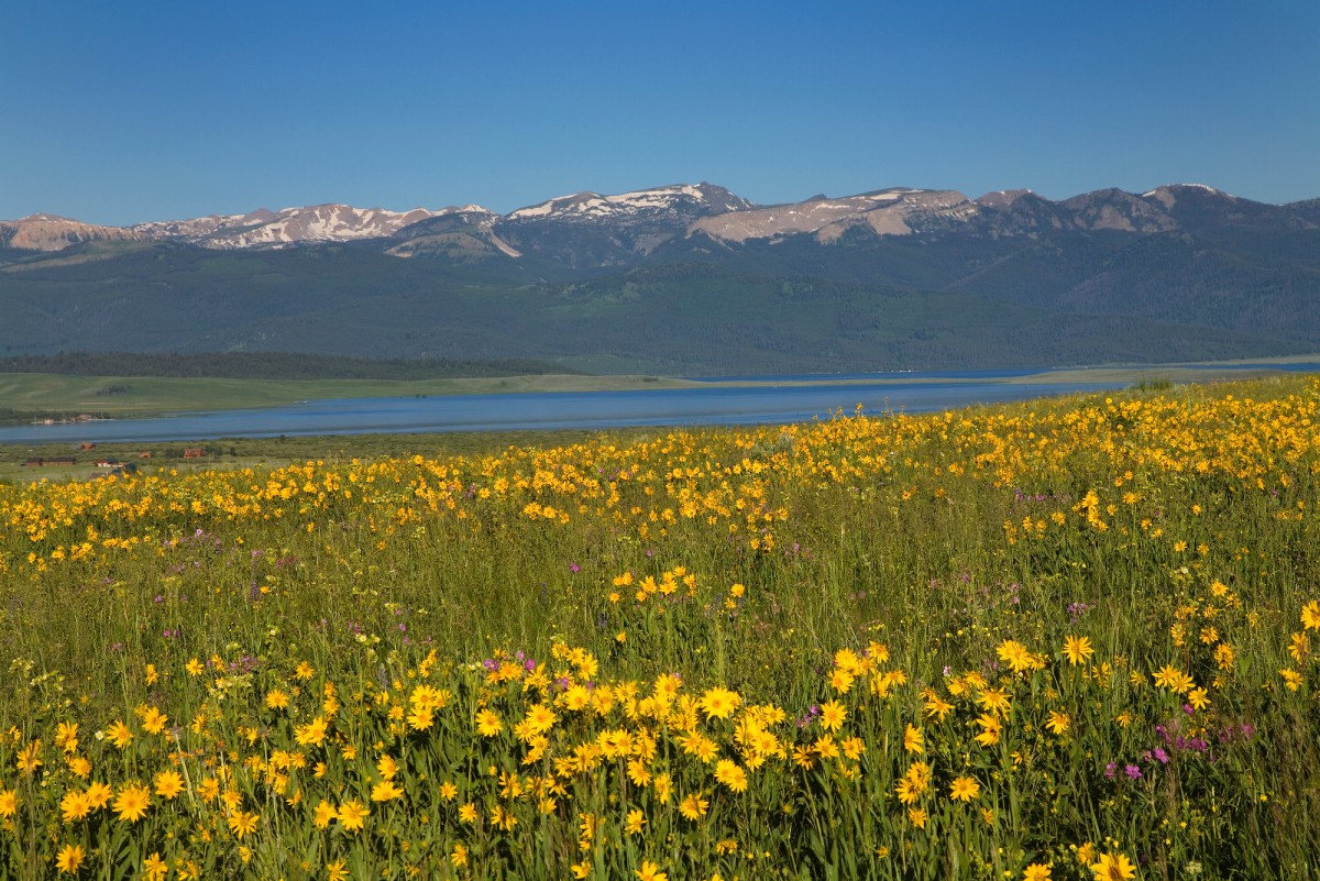 Great Views! Lake, Mountains.