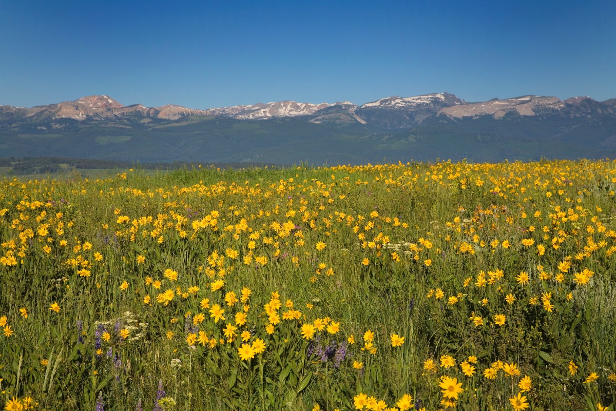 Madison Mountain Range