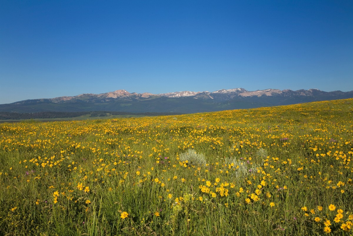 Enjoy Fly-Fishing and Trails