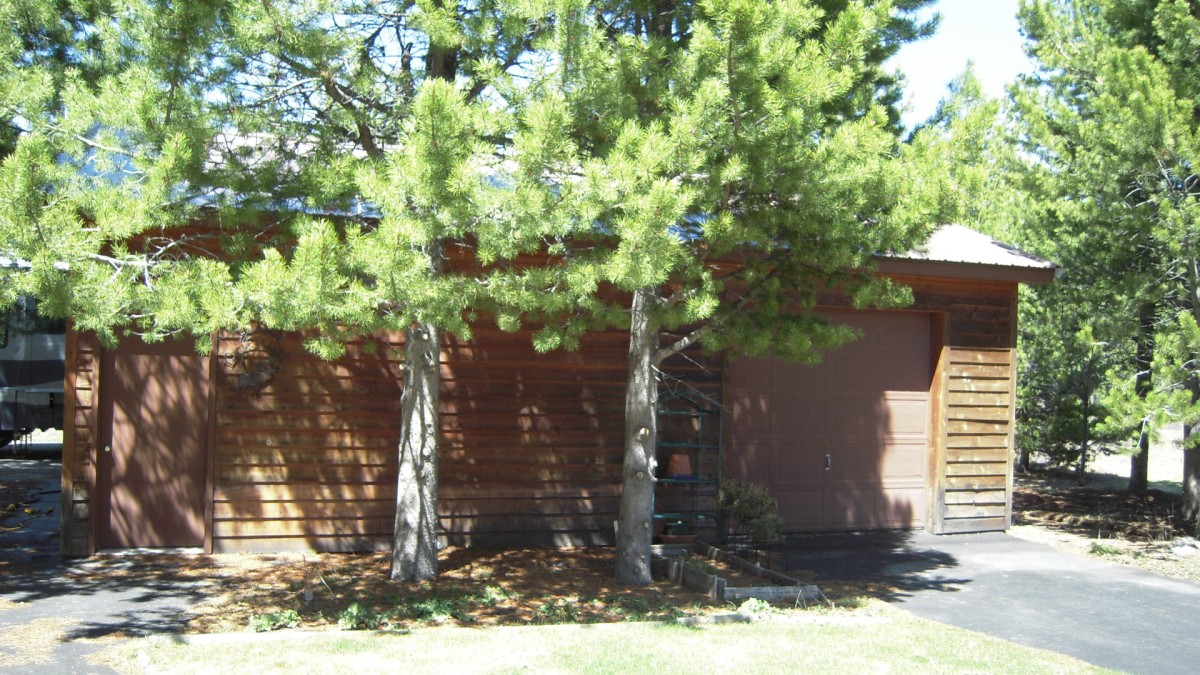 3rd Car Garage w/ shop area Detached