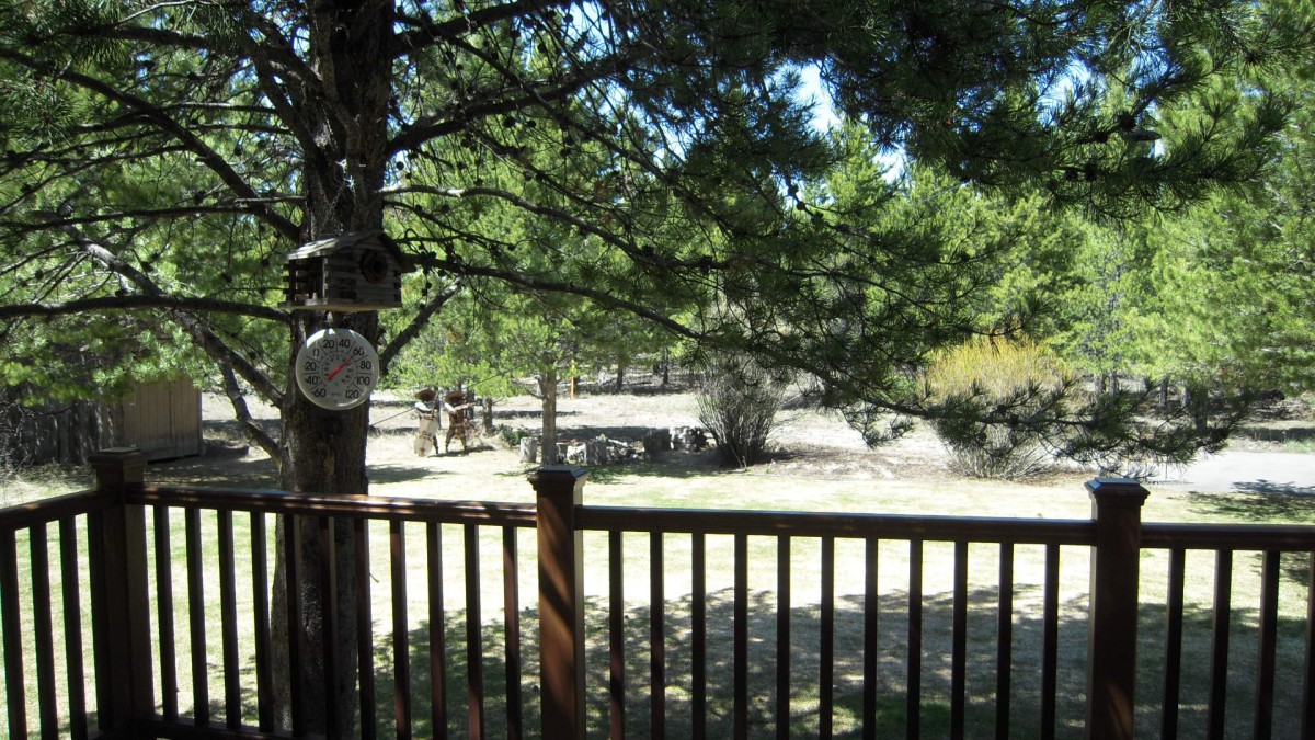 Landscaped Yard