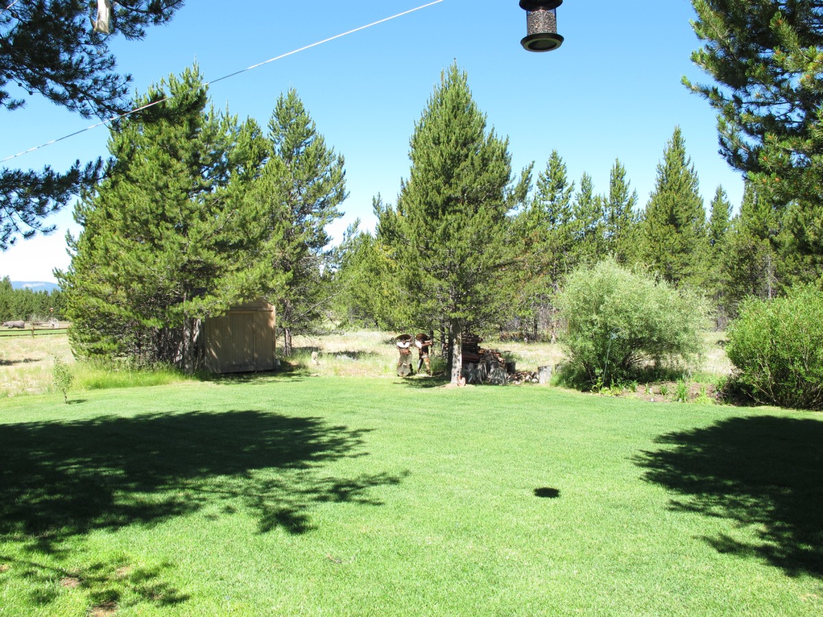 Backyard Backs to Forest Service
