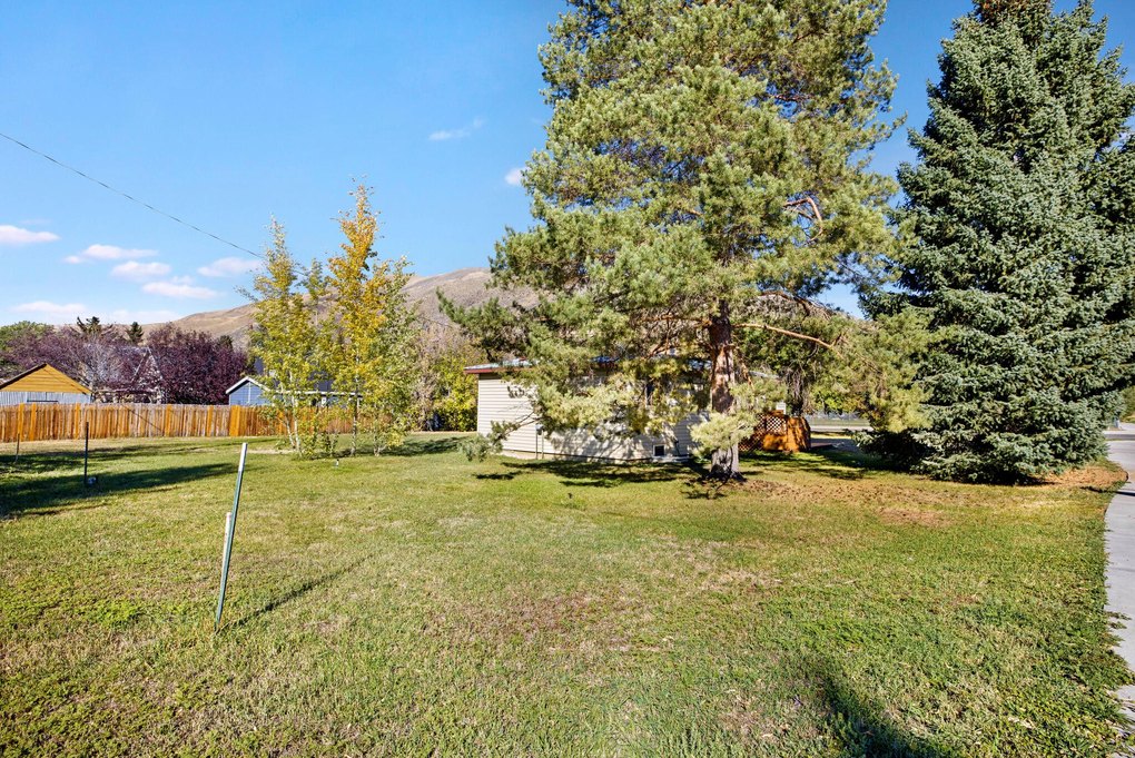 Mature Landscaing